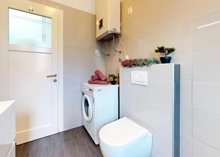 Stella- Near Center And Bacvice Split