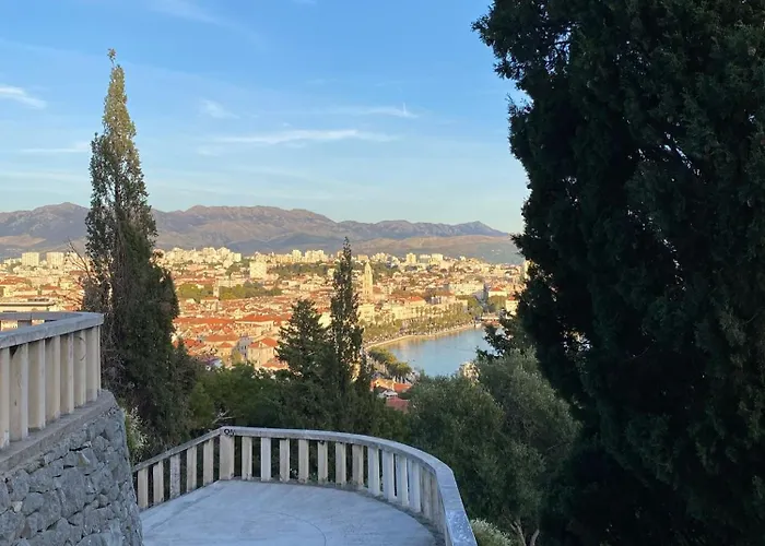 Stella- Near Center And Bacvice Split