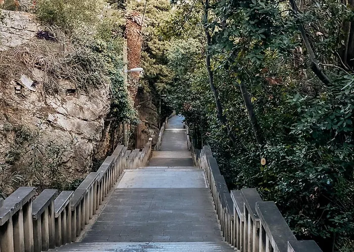 Stella- Near Center And Bacvice Split